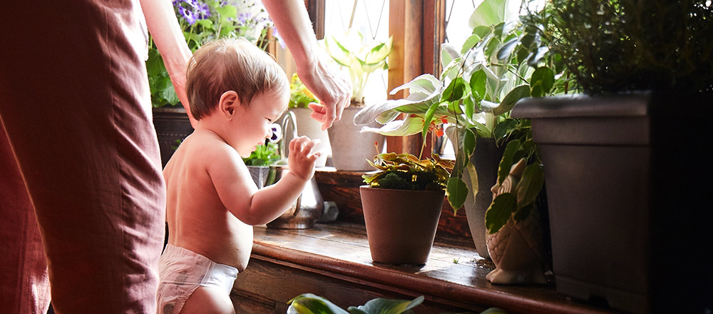 A diapered baby and their parent look at an assortment of potted plants on a windowsill