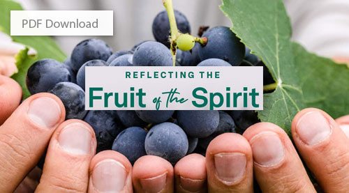 Reflecting the Fruit of the Spirit