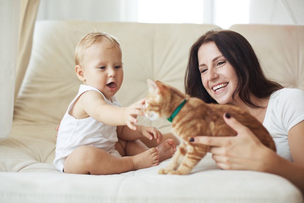 baby plays with cat